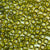 transparent avocado green 6 x 9mm plastic pony beads in bulk