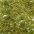 transparent avocado green 6 x 9mm plastic pony beads in bulk