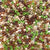 Camouflage Colors of 6 x 9mm Plastic Pony Beads
